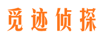 洪山市私家侦探